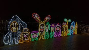 アクロス福岡イルミネーションに投稿された画像（2025/12/10）