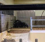 恩賜上野動物園に投稿された画像（2025/12/10）