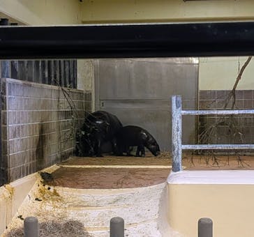 恩賜上野動物園に投稿された画像（2025/12/10）