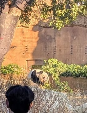 恩賜上野動物園に投稿された画像（2025/12/10）