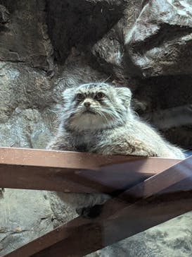 恩賜上野動物園に投稿された画像（2025/12/10）