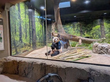 恩賜上野動物園に投稿された画像（2025/12/10）