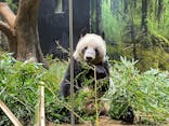 恩賜上野動物園に投稿された画像（2025/12/10）