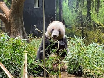 恩賜上野動物園に投稿された画像（2025/12/10）