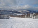 秋田八幡平スキー場に投稿された画像（2025/12/10）