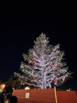 Christmas Market in 横浜赤レンガ倉庫 2025に投稿された画像（2025/12/10）