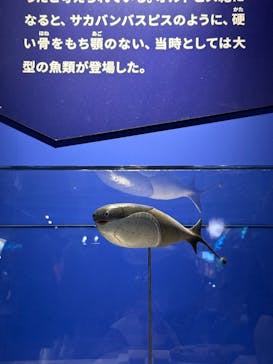 特別展「大絶滅展―生命史のビッグファイブ」に投稿された画像（2025/12/10）