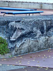 愛媛県立とべ動物園に投稿された画像（2025/12/10）