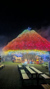 東京メガイルミに投稿された画像（2025/12/10）