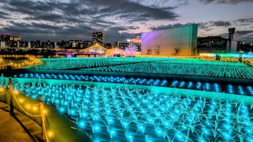 東京メガイルミに投稿された画像（2025/12/10）