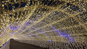 東京メガイルミに投稿された画像（2025/12/10）