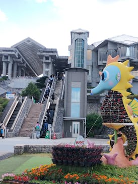 沖縄美ら海水族館に投稿された画像（2025/12/11）