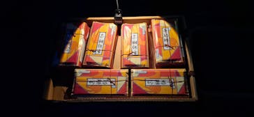 ニジゲンノモリに投稿された画像（2025/12/11）