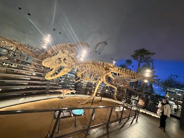 福井県立恐竜博物館に投稿された画像（2025/12/11）