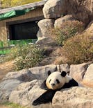恩賜上野動物園に投稿された画像（2025/12/11）