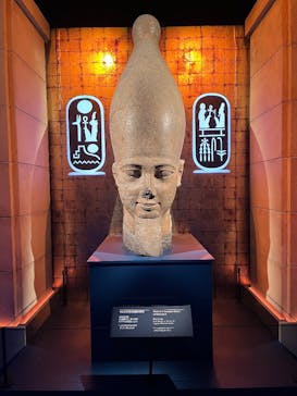 ACN ラムセス大王展 ファラオたちの黄金に投稿された画像（2025/12/11）