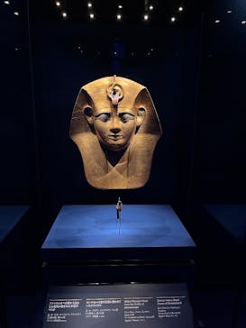 ACN ラムセス大王展 ファラオたちの黄金に投稿された画像（2025/12/11）