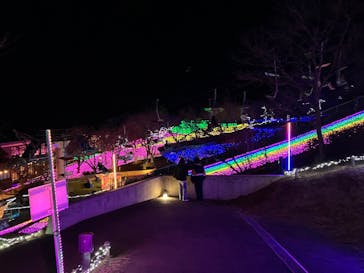 さがみ湖MORI MORIに投稿された画像（2025/12/11）