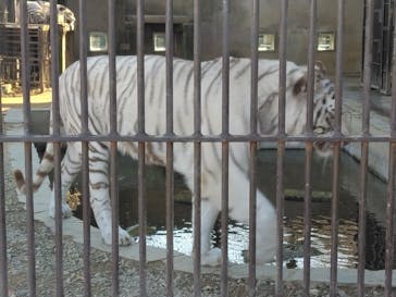 宇都宮動物園に投稿された画像（2025/12/11）