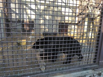 宇都宮動物園に投稿された画像（2025/12/11）