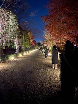 NAKED meets 二条城 2025 観月に投稿された画像（2025/12/11）