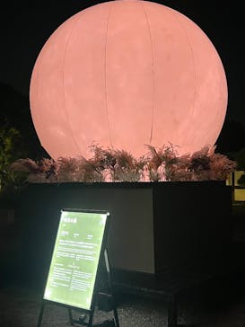 NAKED meets 二条城 2025 観月に投稿された画像（2025/12/11）