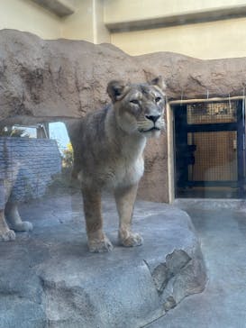 日立市かみね動物園に投稿された画像（2025/12/11）