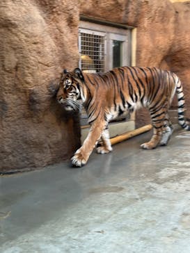 日立市かみね動物園に投稿された画像（2025/12/11）
