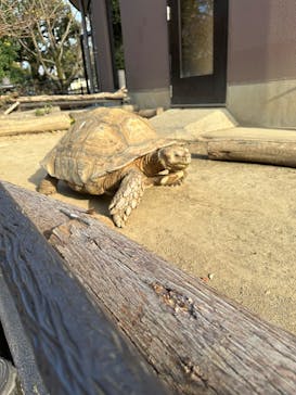 日立市かみね動物園に投稿された画像（2025/12/11）