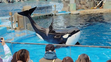 名古屋港水族館に投稿された画像（2025/12/11）