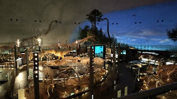 福井県立恐竜博物館に投稿された画像（2025/12/11）