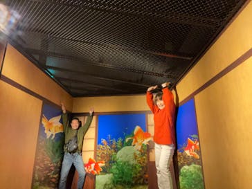 NARA KINGYO MUSEUMに投稿された画像（2025/12/11）