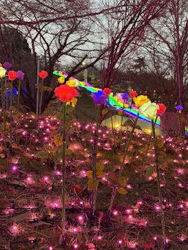 さがみ湖MORI MORIに投稿された画像（2025/12/11）