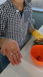 パールファルコに投稿された画像（2025/12/11）