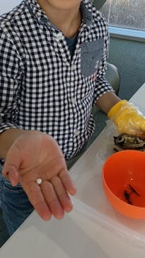 パールファルコに投稿された画像（2025/12/11）