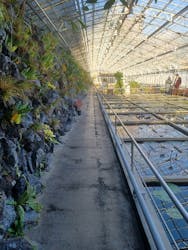 熱川バナナワニ園に投稿された画像（2025/12/11）