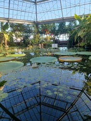 熱川バナナワニ園に投稿された画像（2025/12/11）