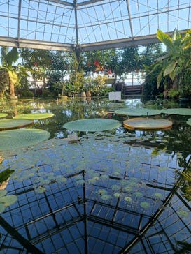 熱川バナナワニ園に投稿された画像（2025/12/11）