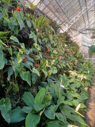 熱川バナナワニ園に投稿された画像（2025/12/11）