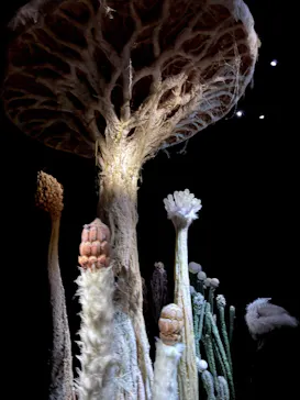 金曜ロードショーとジブリ展（静岡展）に投稿された画像（2025/12/11）