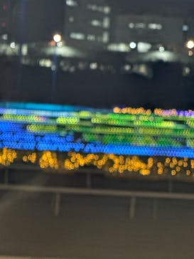 東京メガイルミに投稿された画像（2025/12/11）