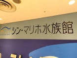 シン・マリホ水族館に投稿された画像（2025/12/11）