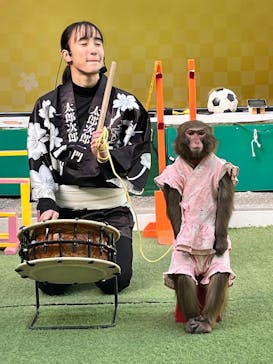 おさるランド＆アニタウン　日光さる軍団劇場に投稿された画像（2025/12/11）