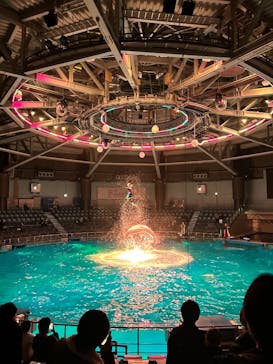 マクセル アクアパーク品川に投稿された画像（2025/12/11）