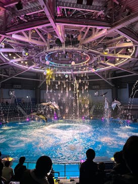 マクセル アクアパーク品川に投稿された画像（2025/12/11）