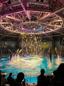 マクセル アクアパーク品川に投稿された画像（2025/12/11）