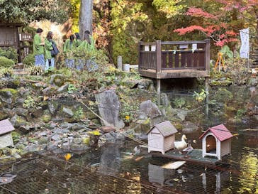 箱根湯本温泉 天成園に投稿された画像（2025/12/11）