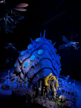 金曜ロードショーとジブリ展（静岡展）に投稿された画像（2025/12/11）