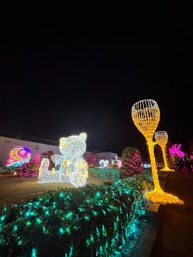 神戸イルミナージュに投稿された画像（2025/12/11）