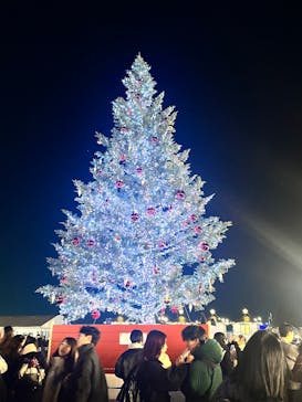 Christmas Market in 横浜赤レンガ倉庫 2025に投稿された画像（2025/12/11）